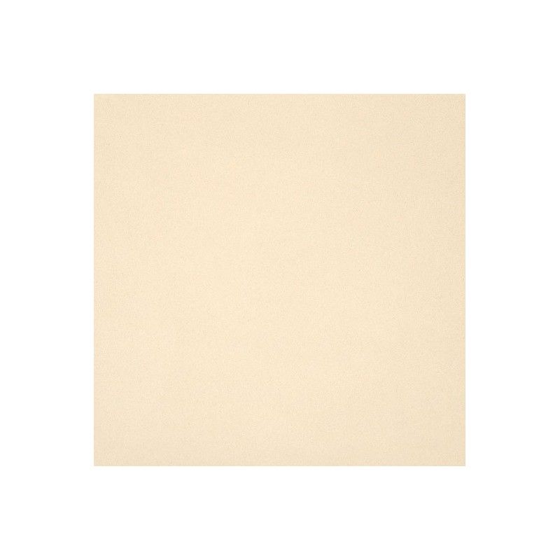 UNICOLORE BIANCO A RETICOLO 12MM 20x20 12MM - CASALGRANDE PADANA 192701 CASALGRANDE PADANA - 1