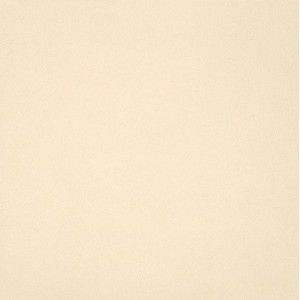 UNICOLORE BIANCO ASSOLUTO LAPPED 60x120 9MM - CASALGRANDE PADANA 727018 CASALGRANDE PADANA - 1
