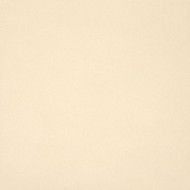 UNICOLORE BIANCO ASSOLUTO 60x60 9MM - CASALGRANDE PADANA 740018 CASALGRANDE PADANA - 1