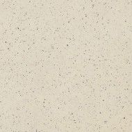 GRANITO 1 NEBRASKA ANTIBAKTERIELL SECURA 14MM 20x20 14MM - CASALGRANDE PADANA 9438928 CASALGRANDE PADANA - 1