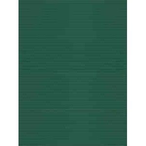 LUCIDA 30x90 cm  FOREST FINGERS 3D - RAGNO RCRN RAGNO  - 1