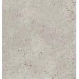 ALCHIMIA ARGENTO 60,4X60,4 SQ - FIORANESE CERAMICHE 0AL603R FIORANESE CERAMICHE - 1