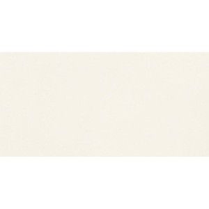 UNICOLORE BIANCO ASSOLUTO ANTIBACTERIAL TECHNIC R10 20x20 - CASALGRANDE PADANA 403701 CASALGRANDE PADANA - 1