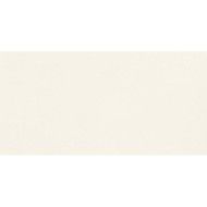 UNICOLORE BIANCO ASSOLUTO ANTIBACTERIAL 60x60 - CASALGRANDE PADANA 745718 CASALGRANDE PADANA - 1