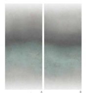 IRONY 120X278 CAMP. SHADE OXIDE DECORO - SUPERGRES ICSO CERAMICHE SUPERGRES - 1