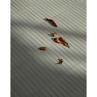 OSSO & BOTTONE OSSO S VERDE 3X27,5 - BOSO03 01 MUTINA MUTINA - 1