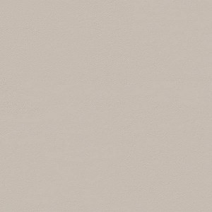 TRUE COLOR 50X120 FOSSIL MATT RETTIFICATO   - FAP CERAMICHE fTDU FAP CERAMICHE - 1