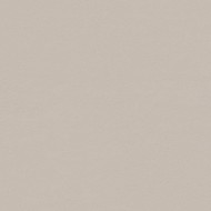 TRUE COLOR 50X120 FOSSIL MATT SQ   - FAP CERAMICHE fTDU FAP CERAMICHE - 1