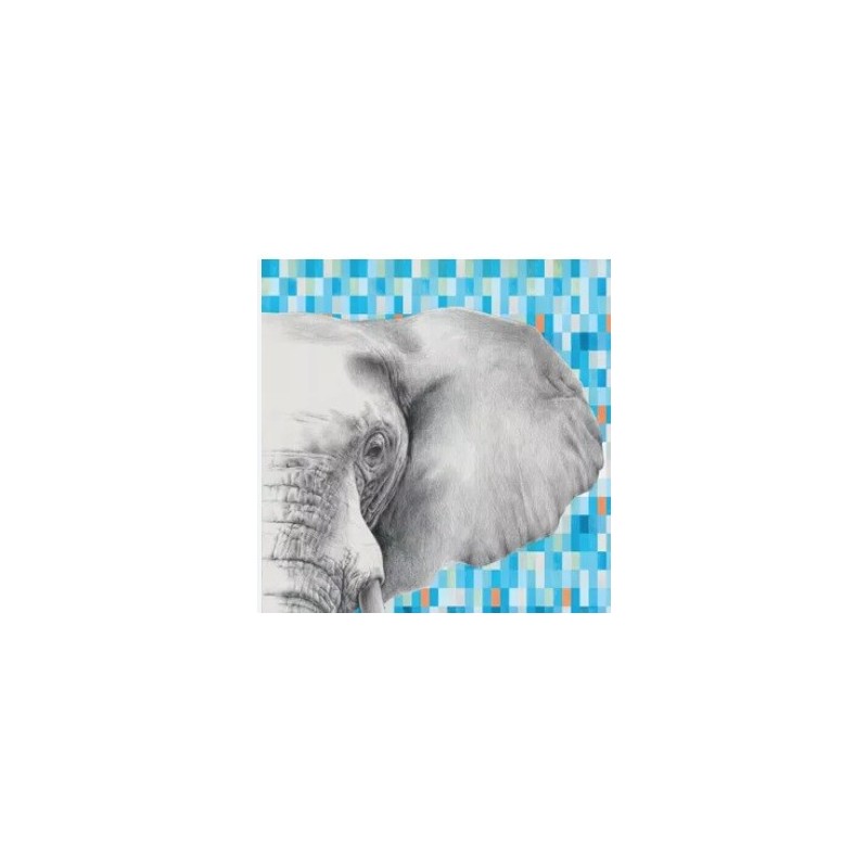 INDOMITA PP 90 MIX ID ELEPHANT  120X278 6MM  - MIRAGE CBO8 MIRAGE - 1