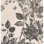 PAPIER PP 90 MIX BLOSSOM SP SQ 120X278 6MM  - MIRAGE CEE0 MIRAGE - 1