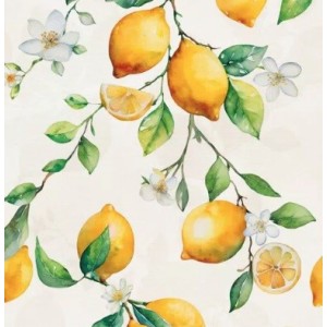 PAPIER PP 90 MIX CAPRI 60X120 6MM  - MIRAGE CBF9 MIRAGE - 1