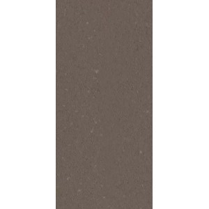 Made 2.0 Mud Polished 60x120 12mm - GIGACER M2MUDLEV60120/X GIGACER - 1