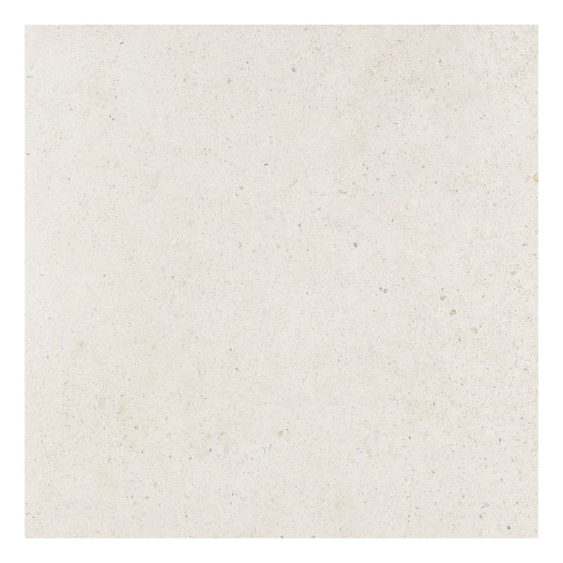 MATIKA BONE C-2 R10  L 59,6X59,6  BONE - PORCELANOSA 100360668 PORCELANOSA  - 1