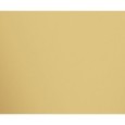 MIRROR GOLD POLISHED 119,3X260 - APAVISA 8431940447204 APAVISA - 1