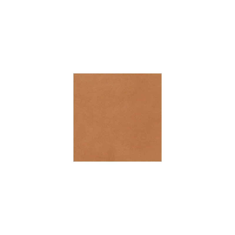 THE COLOR BRICK 60,4X120,8 SQ - FIORANESE CERAMICHE 0TH625R FIORANESE CERAMICHE - 1