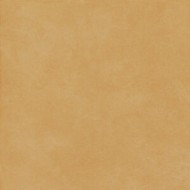 THE COLOR AMBER 60,4X120,8 SQ - FIORANESE CERAMICHE 0TH629R FIORANESE CERAMICHE - 1
