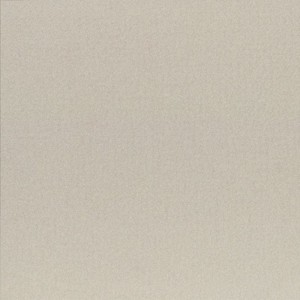 EARTH GRIGIO1 SQ 60x60 9MM - CASALGRANDE PADANA 1740018 CASALGRANDE PADANA - 1