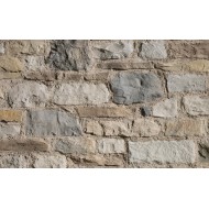 GEOPIETRA NEW  BORGO PP233 Rekonstruierter Beschichtungsstein GEOPIETRA - 1