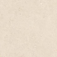 GEMMASTONE GEMMA FINE SABBIA SILKTECH PLUS RT 60X120 - ERGON EMILGROUP ENN8 ERGON EMILGROUP - 1