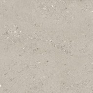 GEMMASTONE GEMMA FINE BASALTO SILKTECH RT 60X60 - ERGON EMILGROUP ENN3 ERGON EMILGROUP - 1