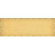 SLIDE MOVE CARAMEL SQ     60X20  562251 IRIS CERAMICA