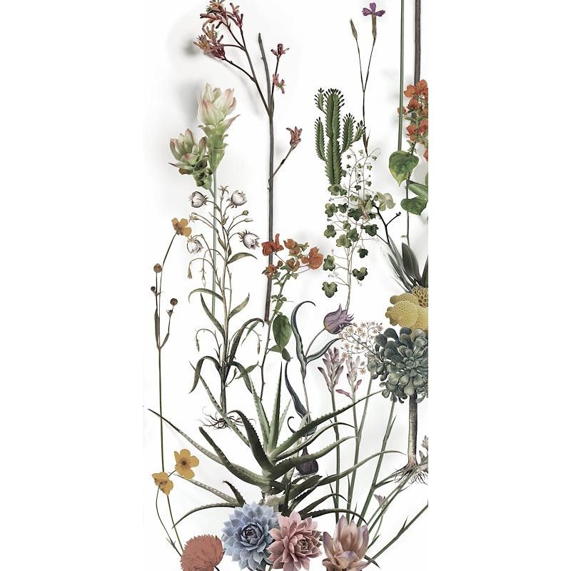 Paper41 Lux Franz 60x120 6mm - 41zero42 4100716