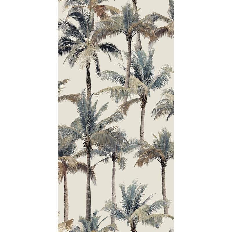 Paper41 Pro Luz 50x100  - 41zero42 4100597