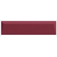 Biscuit Peak Bordeaux 5x21 9mm - 41zero42 4101162