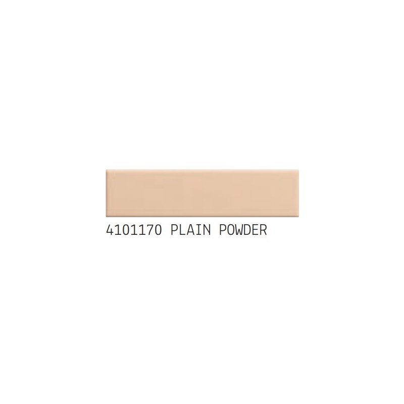 Biscuit Plain Powder 5x22 8mm - 41zero42 4101170