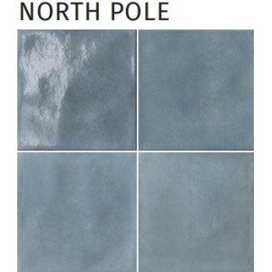 MATERIA PRIMA NORTH POLE 20X20cm 10mm R9 - CIR 1069774