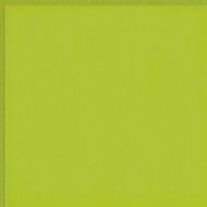 FLEXI 2 GREEN BRI 30X30 cm Ceramica Sant'Agostino CSAFGR2B00