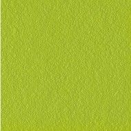 FLEXI B GREEN MAT 30X30 cm Ceramica Sant'Agostino CSAFGRBM00