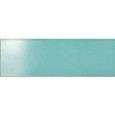 FRAME AQUA 25X76CM R4YF RAGNO