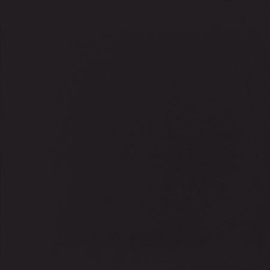 UNICOLORE NERO ANTIBACTERIAL 20x20cm Casalgrande Padana   405806 CASALGRANDE PADANA - 1