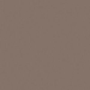 UNICOLORE GRIGIO CENERE SECURA 12MM 20x20cm 12MM Casalgrande Padana   194502 CASALGRANDE PADANA - 1