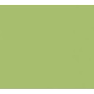 ARCHITECTURE  ACID GREEN 30x30cm Casalgrande Padana  3700012 CASALGRANDE PADANA - 1