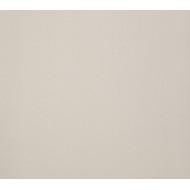 ARCHITECTURE  DARK IVORY ANTIBACTERIAL 30x60cm Casalgrande Padana  4795756 CASALGRANDE PADANA - 1