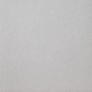 SPAZIO ARGENTO 30x60cm Casalgrande Padana  3790072 CASALGRANDE PADANA - 1