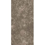 MARMOKER GRIGIO BILLIEMI LUCIDO 88 x 176 Casalgrande Padana 10670209 CASALGRANDE PADANA - 1