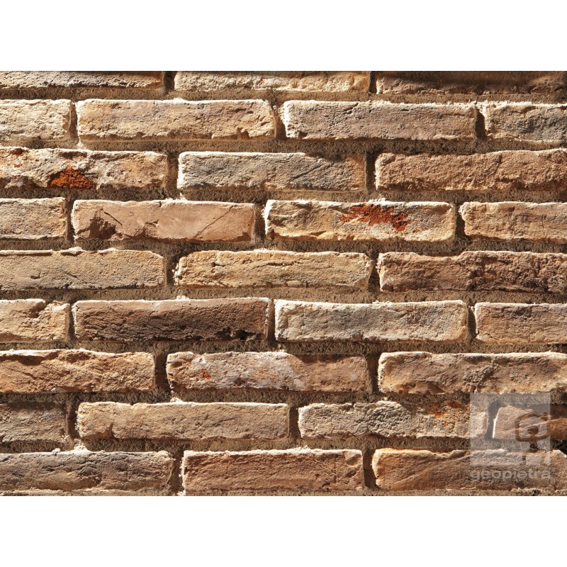 PADANO Brick Geopietra Brick 25X5.5cm Sheet