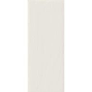 CANDY CENERE 20X50  - Ragno R15N RAGNO  - 1