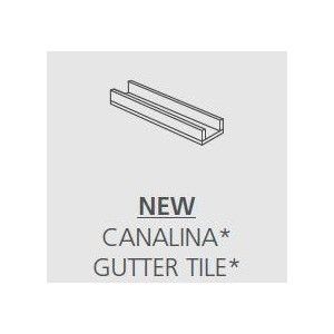 WOODMANIA20 MUSK 15X60  CANALINA - Ragno RAWC RAGNO  - 1