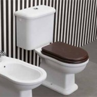 TOILETTE  MONOBLOC S EFI BLANC  - Ceramica Flaminia 6001 CERAMICA FLAMINIA - 1