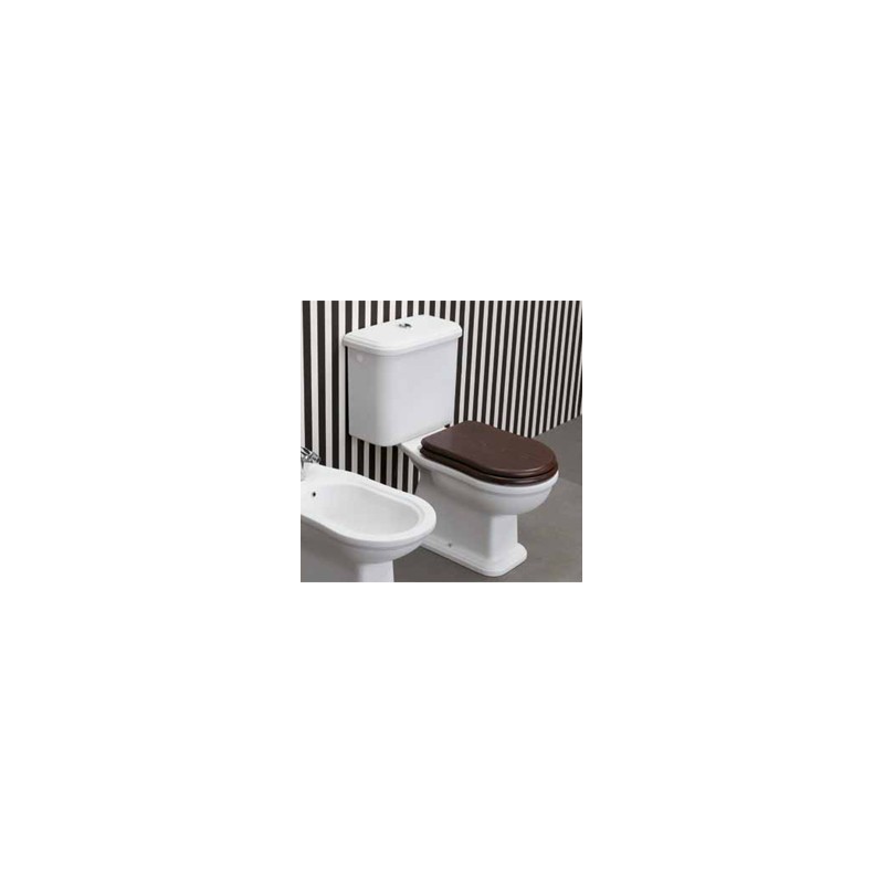 TOILETTE  MONOBLOC P EFI BLANC  - Ceramica Flaminia 6002 CERAMICA FLAMINIA - 1