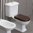 TOILETTE  MONOBLOC P EFI BLANC  - Ceramica Flaminia 6002 CERAMICA FLAMINIA - 1