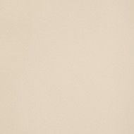 ICON CREAM 60 60x60 CHAMPAGNE 60x60 Naturale Liscio Opaco   Monocalibro - LEONARDO LEONARDO CERAMICA - 1