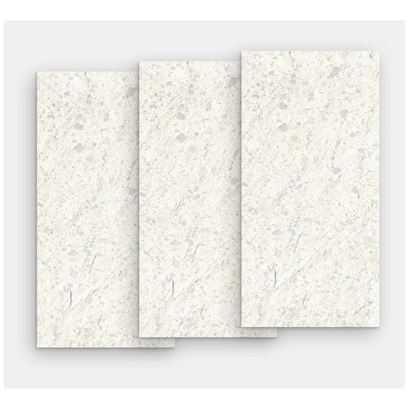 SQ.Venice Zinc Poliert 120x60 - FMG L62405 FMG IRIS - 1